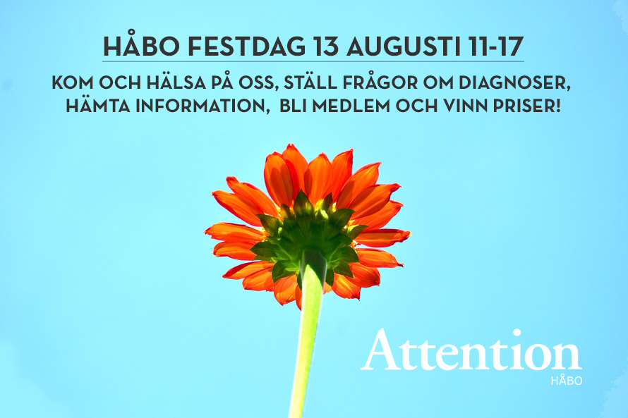 Besök oss på Håbo Festdag, 13 augusti 11-17